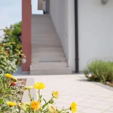 Bed & Breakfast Al Piovego