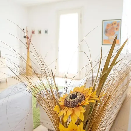 Bed & Breakfast Al Piovego Noventa Padovana